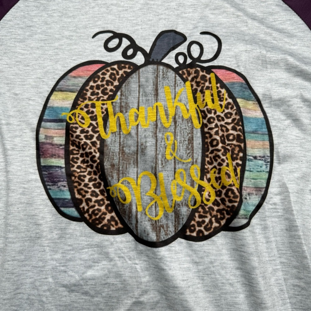 Thankful Blessed pumpkin baseball tee - Picture 2 of 7
